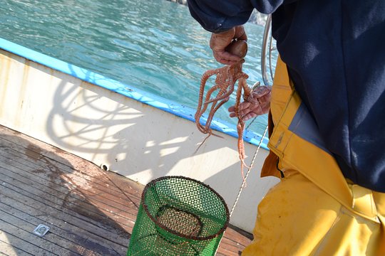 Tour image 6