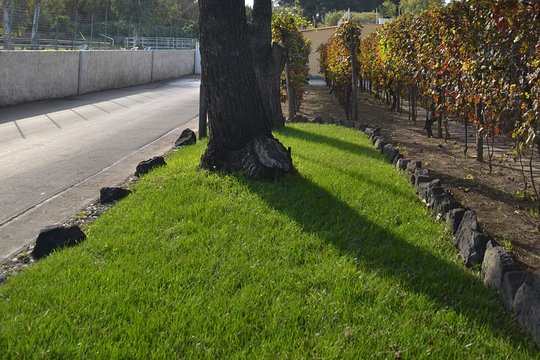 Tour image 7