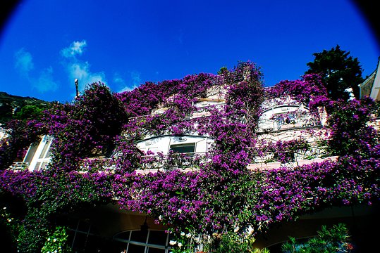 Tour image 12