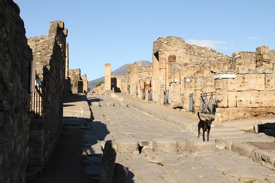 Tour image 5