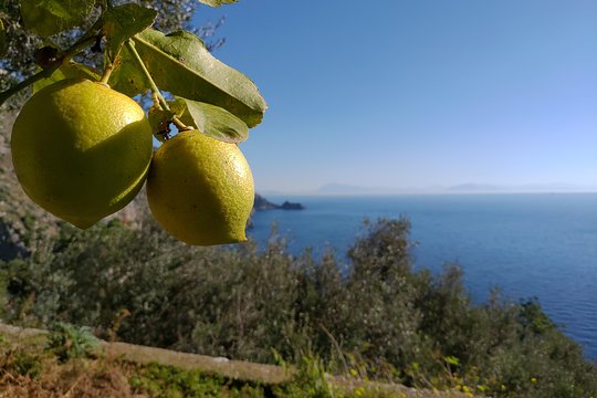 Tour image 14