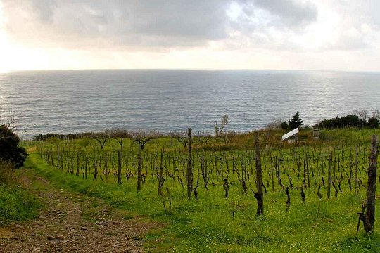 Tour image 5