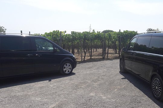 Tour image 7