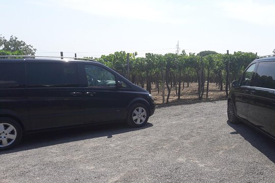 Tour image 6