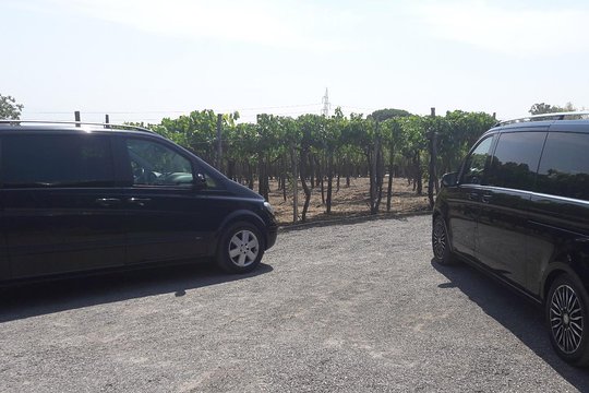 Tour image 7