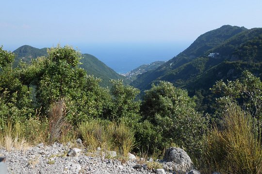 Tour image 5