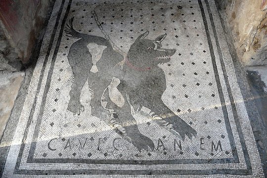 Tour image 10