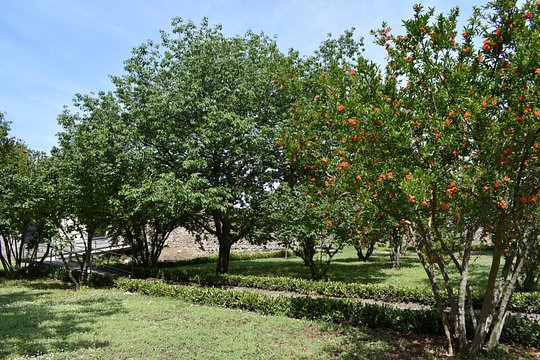 Tour image 11