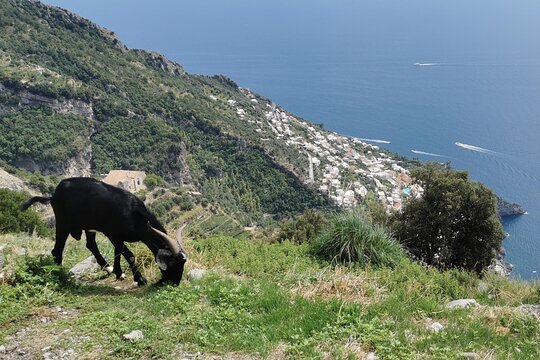 Tour image 6