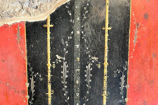 Tour image 11