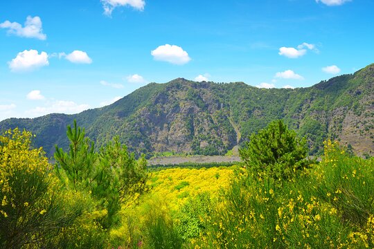 Tour image 10