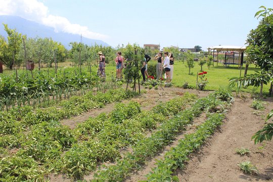Tour image 9