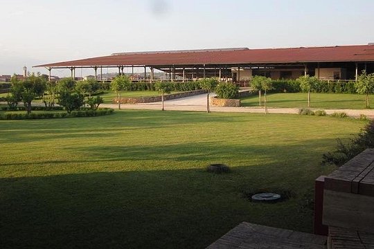 Tour image 5