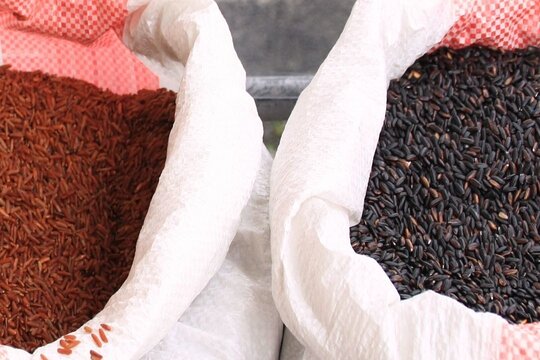 Tour image 9